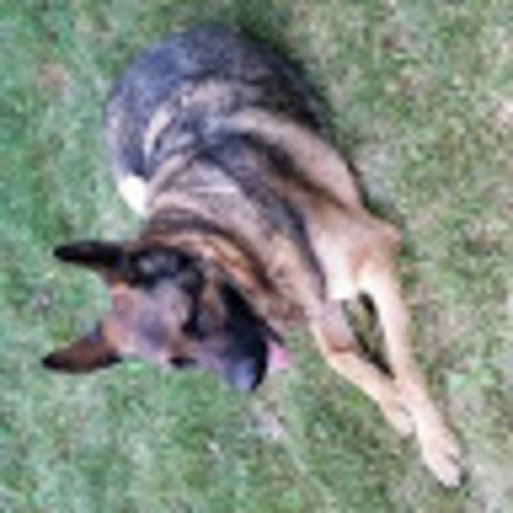 ldycop111